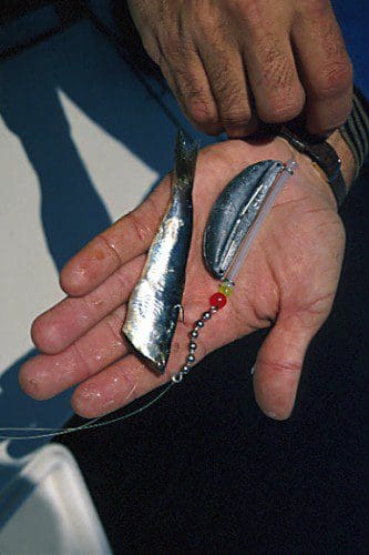 What is Mooching Fishing? A Beginner’s Guide to the Technique